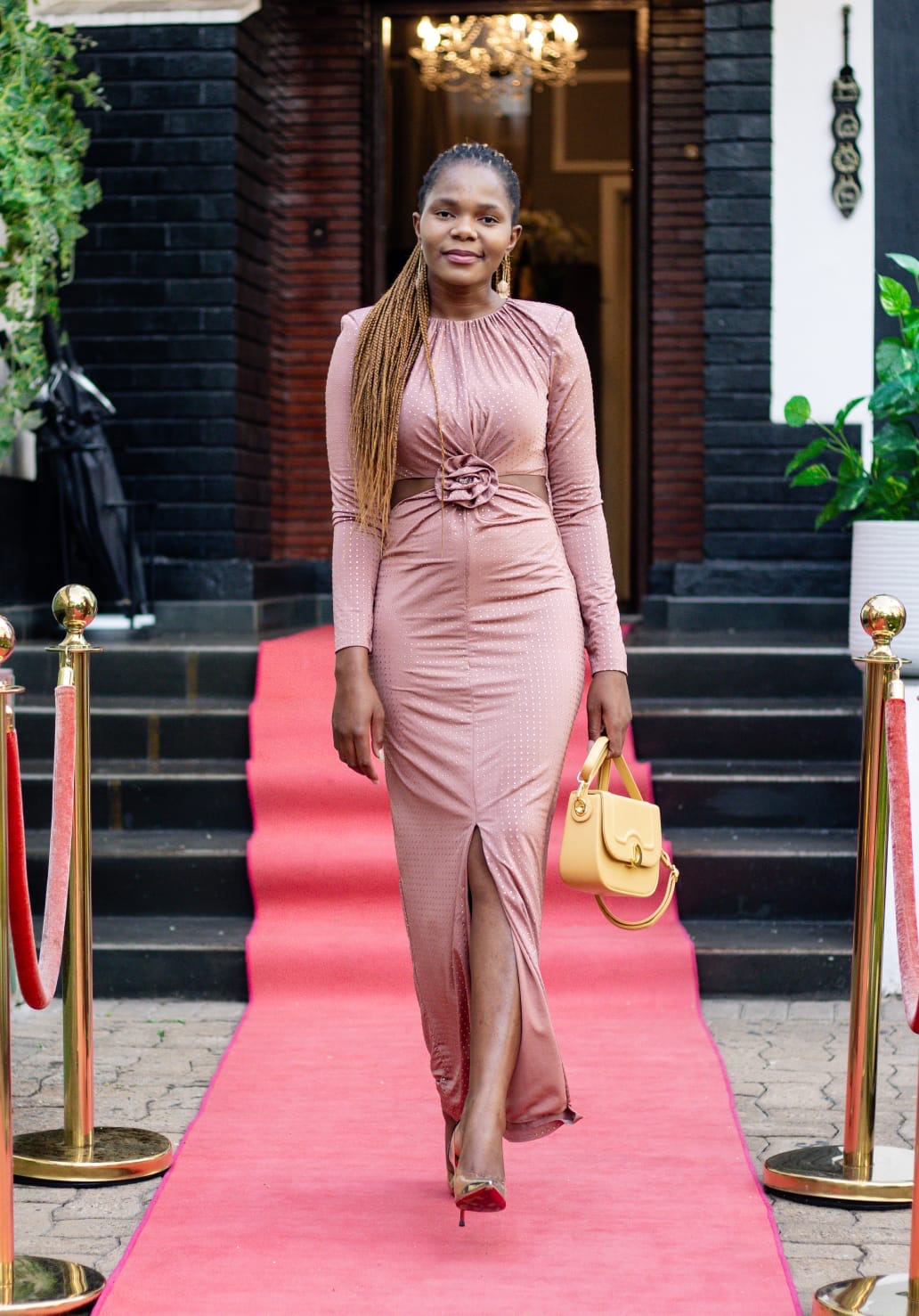 Fawn Brown Glittery Elegant Dress